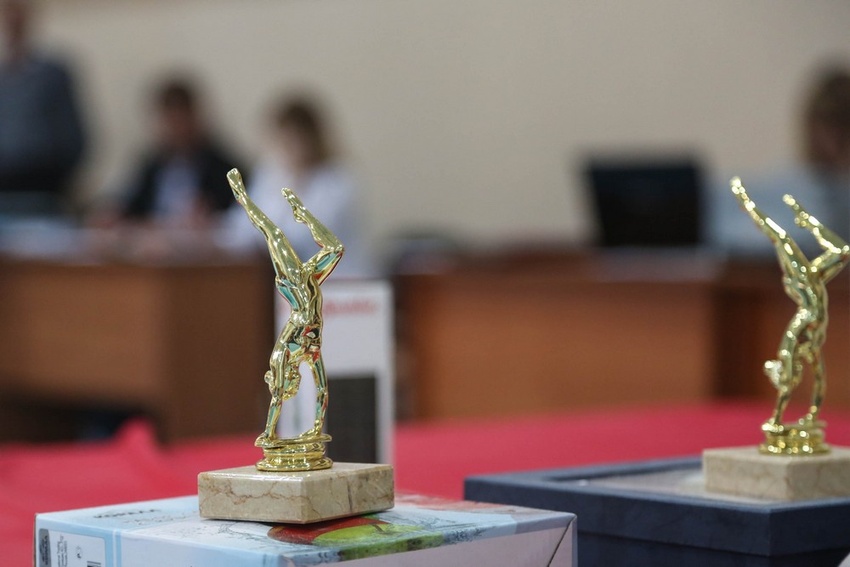 Белгородские гимнасты завоевали почти всё золото на турнире памяти Пилкина