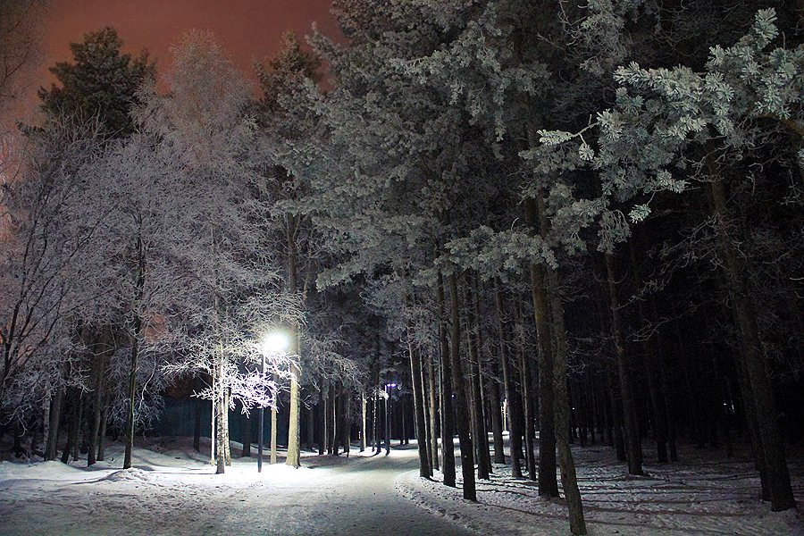 10 лучших снимков ночного Парка новой культуры