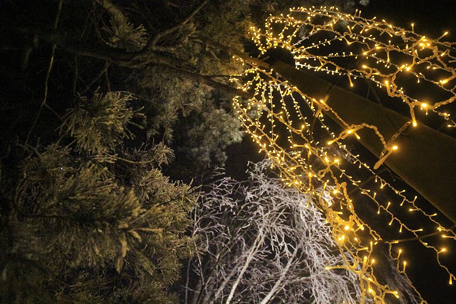 10 лучших снимков ночного Парка новой культуры